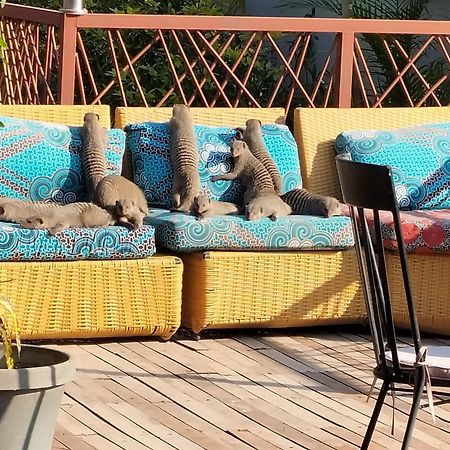 Sunbirds Chobe Hotel 卡萨内 外观 照片